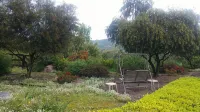 1BR Guest Apartment On Private Estate -KING BED- Pick Oranges by the Front Door - Wifi