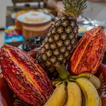 Pousada Bambu