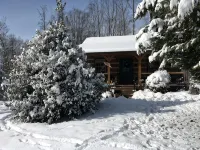 Your Mayberry Get-a-Way Cabin- Only 6 Miles from Downtown Mount Airy - Chalets