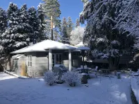 Immaculate Downtown Cottage Retreat- EV Charger. Walk Downtown in 4 Minutes - Tiny houses