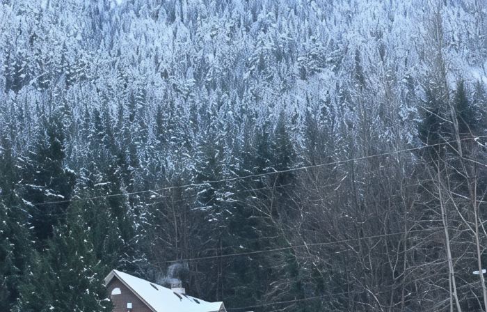 Evergreen Bed & Breakfast