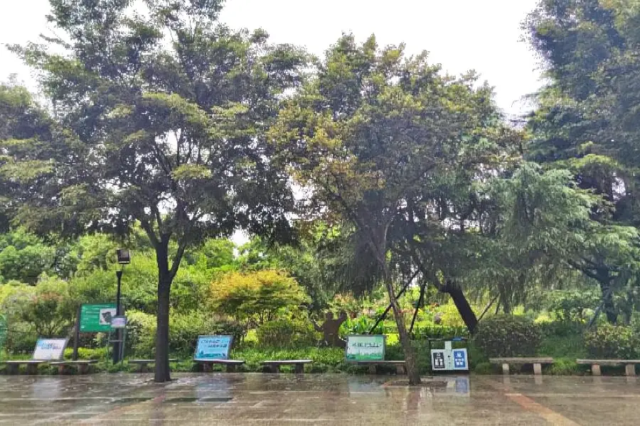 Jiangzhenshimin Square Park