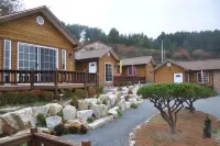 Oraview Pension