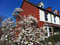 Llangollen Hostel - the Whole Bedroom - Self Catering Facilities 住宿飯店