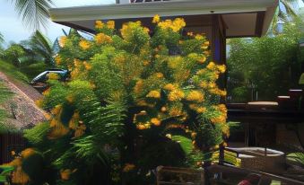 Liwayway sa Bohol Pamilacan Resort