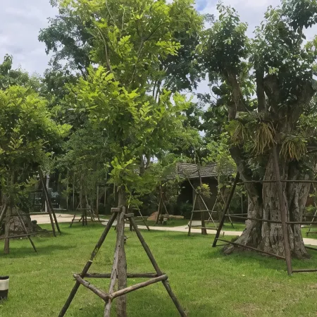 Chiang Klong Riverside Resort