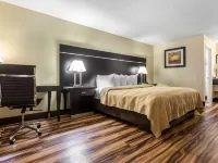 Quality Inn Goose Creek - Charleston Hotels in Berkeley County