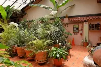 Hotel San Luis
