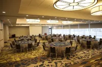 Hilton Garden Inn Austin Airport Hotels in Montopolis