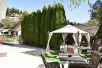 Pensiunea Nicolas Hotels in 