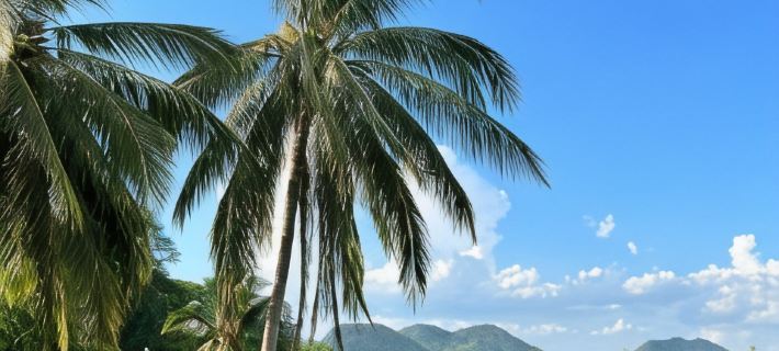 NamKhan Riverside Hotels in Luang Prabang