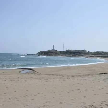 Pension Healthy Wing