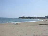 Pension Healthy Wing Hotels in Choshi