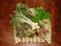 Joseikan 미나카미 정 호텔