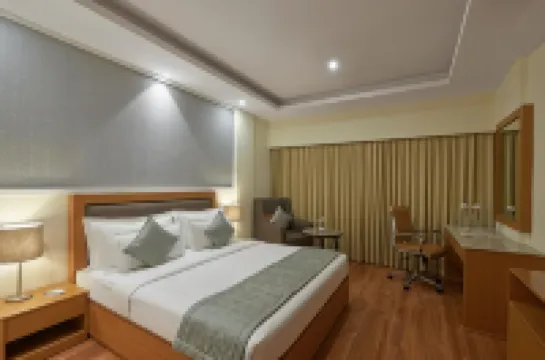 서던 스타 벵갈루루  호텔