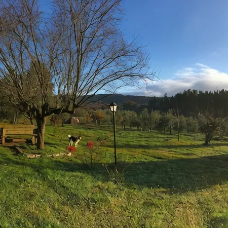 Villa in Città della Pieve. A peaceful oasis among woods and olive groves