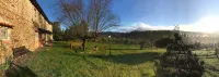Villa in Città della Pieve. A peaceful oasis among woods and olive groves - 民宿