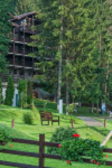 Ana Hotels Bradul Poiana Brasov Hotels in 