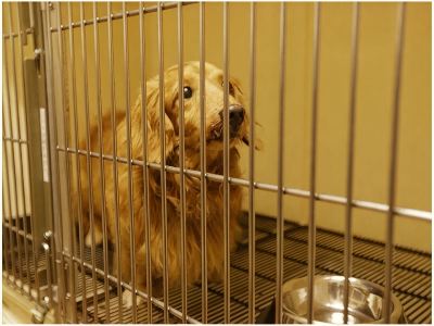 その他 箱根湯本温泉 天成園の写真