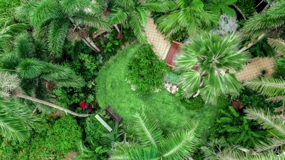 共有エリア ホリデイ・イン ケアンズ ハーバーサイドの写真