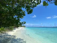 Paradise Palms Hotels in Thoddoo
