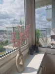 Strandhafer- Balcony with Sea View- 2 Min to the Beach