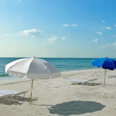 Island House South Beach Отели рядом с достопримечательностью «Концертный зал New World Center»