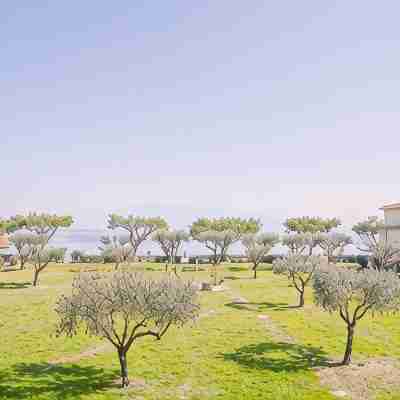 Il Cielo in Una Stanza - Italian Homing Hotel Exterior
