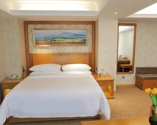 Vienna Hotel (Shenyang Central Street) Kamar Photos