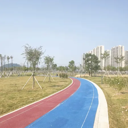 Chuancheng Meisu (Dawang Hi-Tech)