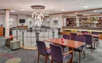 Leonardo Hotel Cheltenham - bar