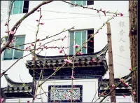 婺源銀杏人家 - 青年旅舍