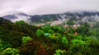 廬山香山苑7号リゾート山荘（牯嶺街） - カップル