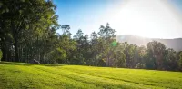 Elfin Hill Vineyard Accommodation