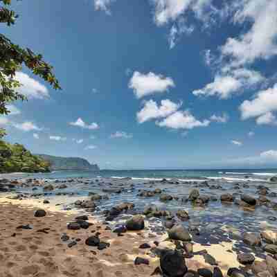 Princeville Oasis • Ocean Retreat • Stunning Views! Fitness & Recreational Facilities