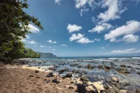 Princeville Oasis • Ocean Retreat • Stunning Views! - Wifi