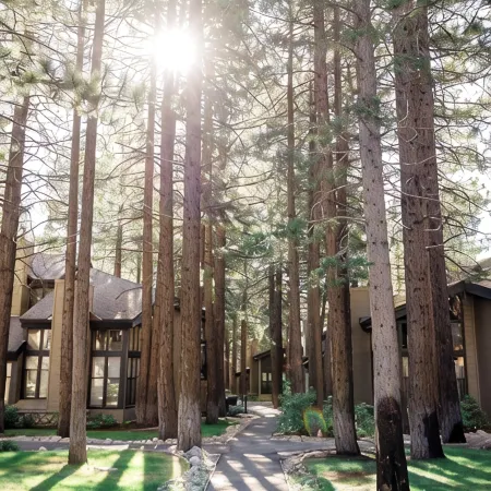 Spring Ski Escape – Steps to Lifts in Mammoth