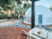 Unique Dome with hot tub, bbq, jacuzzi, near beach فنادق في ایزابلا