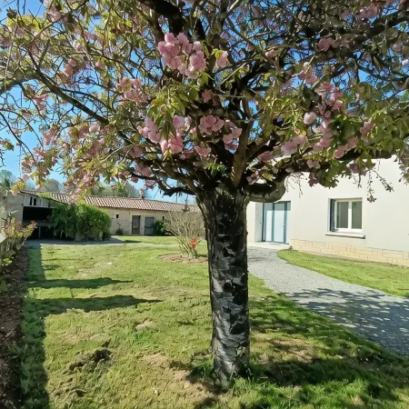 Longhouse rental Отели в г. Брюс