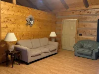 Cozy cabin in lovely Seneca Rocks WV with WiFi, smart TVs and jucuzzi tub Hotels in Pendleton County