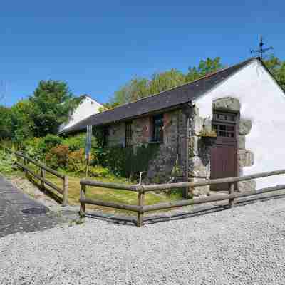1 bedroom barn conversion on smallholding with alpacas, goats and pigs Hotel Exterior