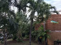 T3 Montana 2, DESHAIES, 350 m Grande Anse, 5/7 people, 2 bedrooms + living room, terrace. Hotels in 