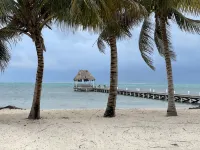 Beautiful 5 bedroom beachfront villa with private pool just 2.5 miles from town - Villas