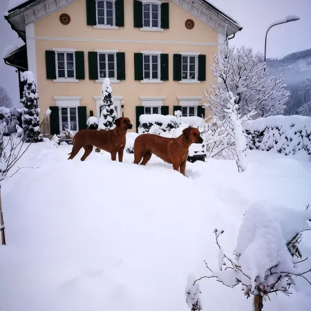 Vacation apartment in the Grisons Oberland