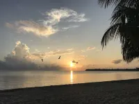 Beach Front Cottage in the heart of Placencia Village - 3 ดาว