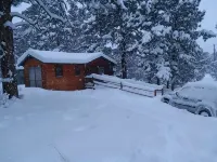 Holly's Hideaway, Cabin in the Woods - Chalets