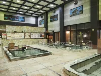 Nara Plaza Hotel - Hot Springs