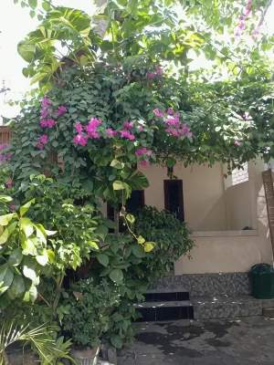 Pedek Homestay - Mountain view