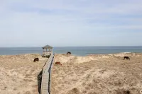 Seashine Obx Oceanfront Luxury Home Private Pool. - 4-Star