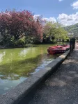 Beautiful cottage in the heart of Matlock - Wi-Fi